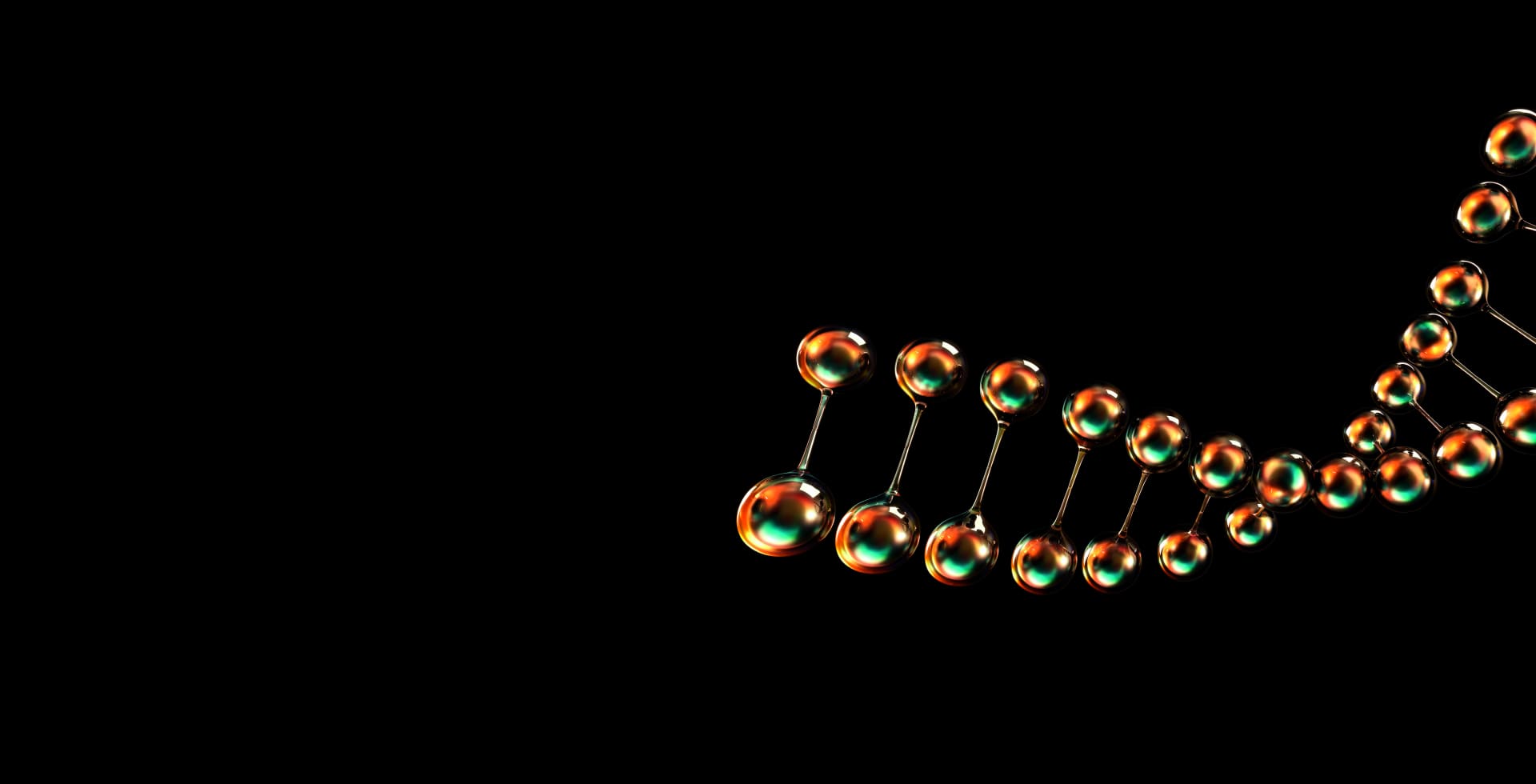 Loreal pro arm b2b picture