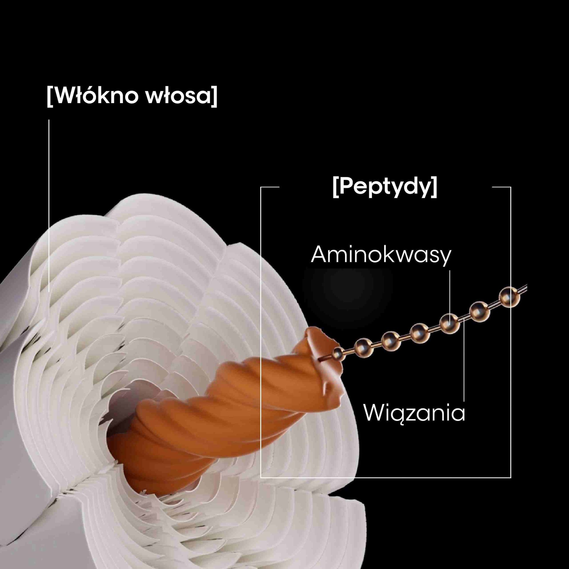 Tech_1_BeforeAfter_crop_PL