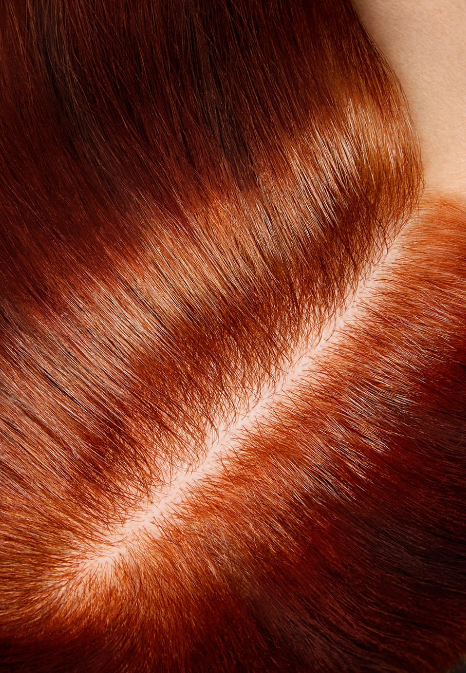 slider-inoa-2024-12-perf-proof-4